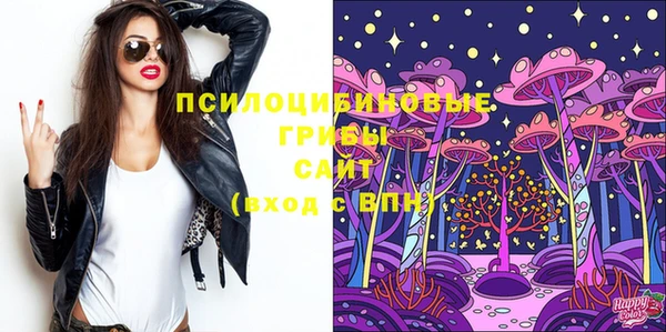 метадон Александровское