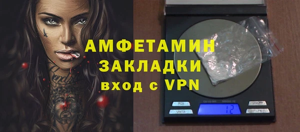 гидра Кущёвская