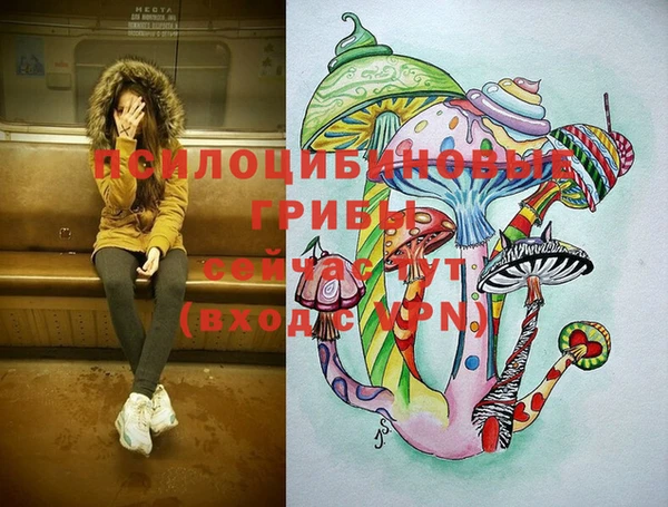 метадон Александровское