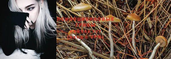 прущая мука Фёдоровский