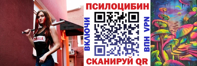 Купить закладки  Алейск  Псилоцибиновые грибы MAGIC MUSHROOMS 