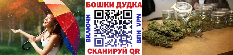 Купить  Алейск  Бошки Шишки план 